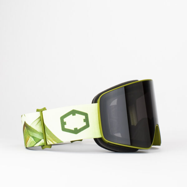Bio Project Ski Goggles smoke Lens Green Color
