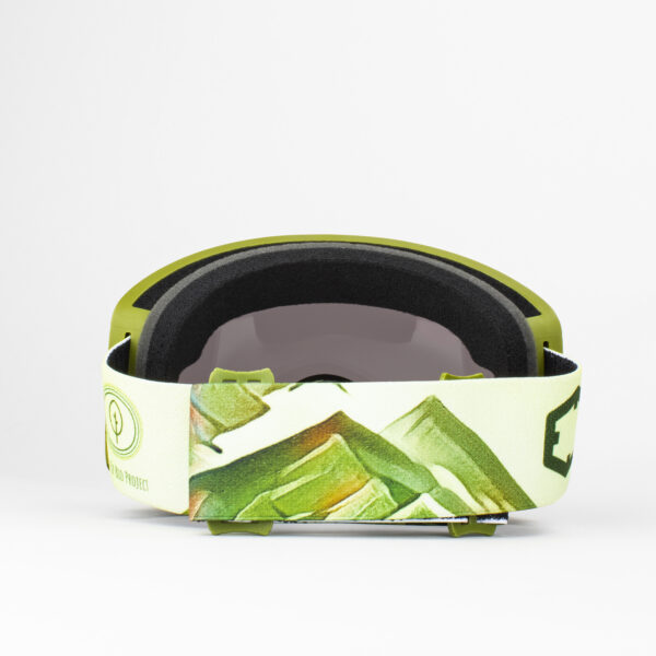 Bio Project Ski Goggles smoke Lens Green Color