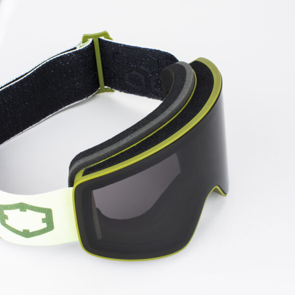 Bio Project Ski Goggles smoke Lens Green Color