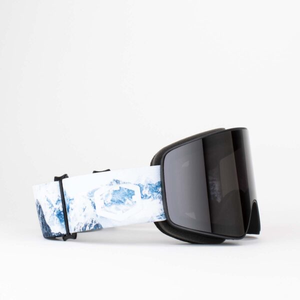 Bio Project Ski Goggles Smoke Lens snow Color